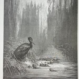 Dore, Fables, Fish Cormorant Rats Fox Egg, Print, Bookplate, Art ~ 240706-WH 290